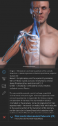 Visual Anatomy 3D | Human screenshot 3