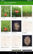 Paddy Varieties screenshot 5