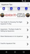 Aquarium Tips - Guide To Set Up Your Aquarium screenshot 1