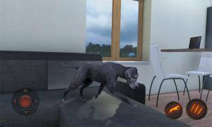 Great Dane Dog Simulator screenshot 12