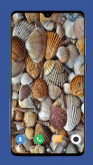 Seashell Wallpaper HD screenshot 15