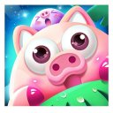 Piggy Boom Icon