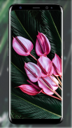 Tropical Leaves Wallpaper screenshot 0