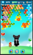 Dog Bubble screenshot 6