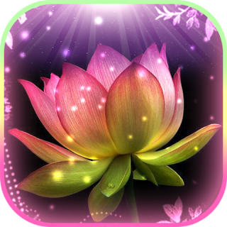 Gambar Bunga Lotus Png - Koleksi Gambar Bunga
