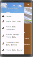 Kicau Burung Murai Batu screenshot 3