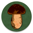 Book of Mushrooms Icon