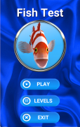 Fish Quiz screenshot 6