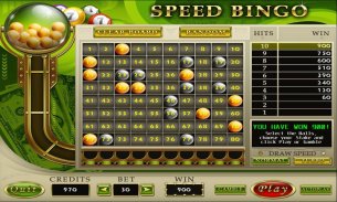 Casino 8 Games screenshot 3