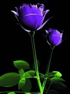 Flowers and Roses Live Wallpaper Gif App screenshot 11