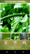 Nature Wallpapers screenshot 7