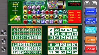 Vídeo Bingo Mega Ball Flex screenshot 9