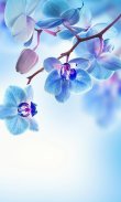 Spring Flowers Live Wallpaper screenshot 1