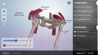 3D Joints Tool screenshot 2