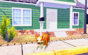 Corgi Dog Simulator screenshot 15