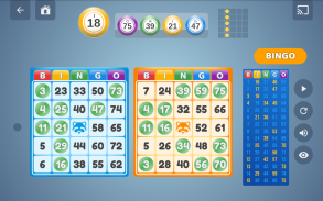 Bingo Set screenshot 8