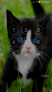 Cat Lock Screen screenshot 3