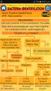 Bacteria Identification Made Easy | Free & Offline screenshot 6