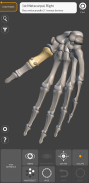 Anatomía 3D para el artista Lt screenshot 8