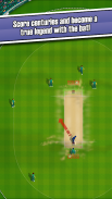 New Star Cricket screenshot 5