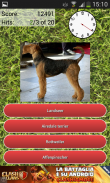 Dog Breeds Quiz screenshot 6