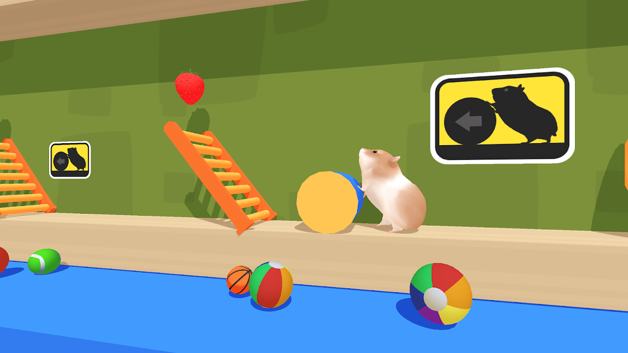 Hamster Maze APK for Android Download