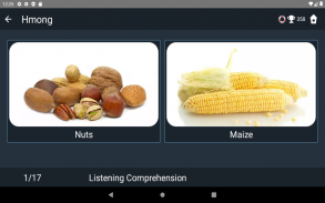 Hmong Language Tests screenshot 21