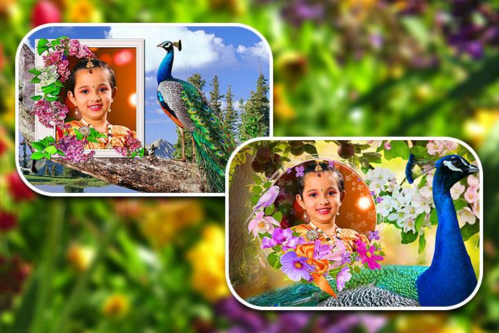 Peacock Photo Frames - APK Download for Android | Aptoide