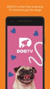 DOGTV: Television for dogs screenshot 7