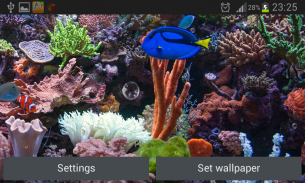 मछलीघर लाइव वॉलपेपर screenshot 4