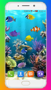 Aquarium Wallpaper HD screenshot 12