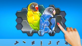 Hexágonos Hexa Jigsaw Puzzle™ screenshot 13