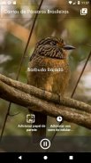 Cantos de Pássaros Brasileiros screenshot 2