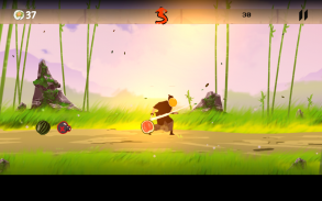 Samurai Story screenshot 7