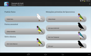 SBguide to Gouldianfinches screenshot 5