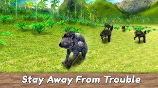 Koala Family Simulator - try Australian wildlife! screenshot 0