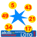 smart numbers for Sayisal loto(Turkish)