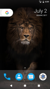 Lion Pride HD Wallpapers screenshot 3