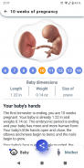 My Pregnancy - Week by Week screenshot 0