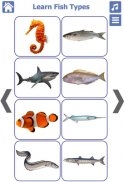 Fish Types | Goldfish Saltwate screenshot 7