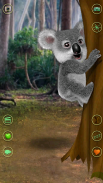 Talking Koala Bear screenshot 0