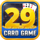 29 Card Game Icon