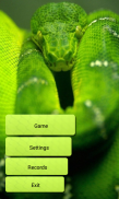 Snake WiFi screenshot 2