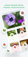 LeafSnap - Plant Identification screenshot 1