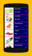 Learn Spanish From Hindi screenshot 7