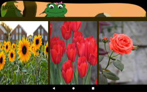 Miss Froggy screenshot 1