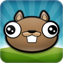 Noogra Nuts - The Squirrel Icon