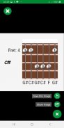 Learn Guitar Chords for Beginners screenshot 6