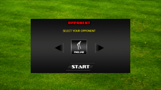 Cricket Classic Game screenshot 2
