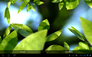 Fresh Leaves screenshot 6